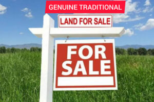 InShot_20251213_180750284