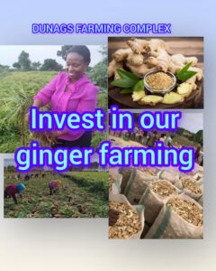 InShot_20251214_062013202