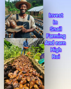 InShot_20251214_062413618