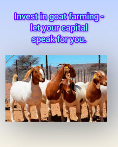 InShot_20251214_062739559