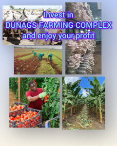 InShot_20251214_063220540