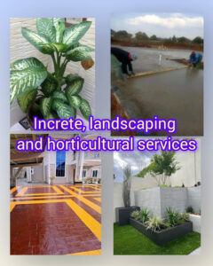 InShot_20251214_071247975